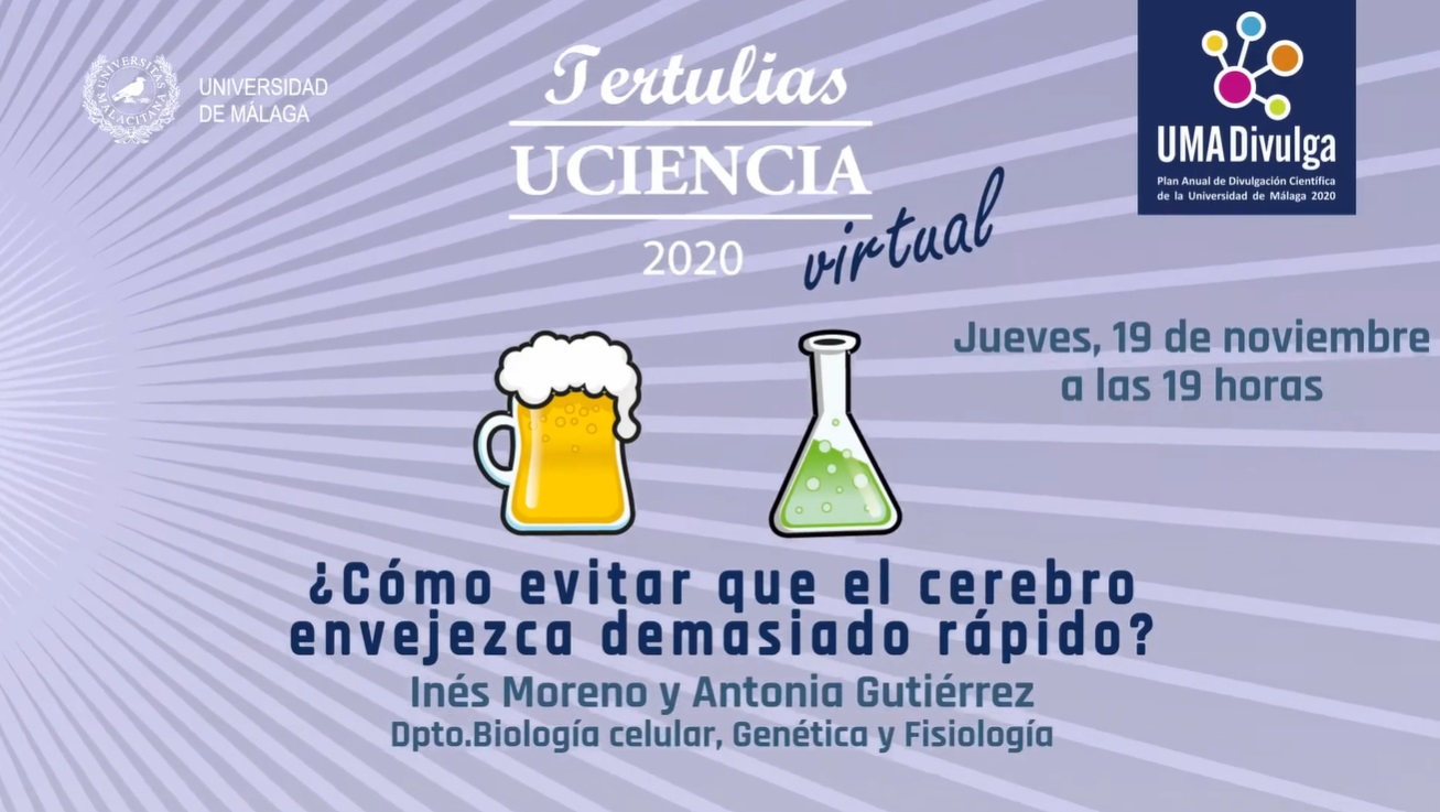 C Mo Evitar Que El Cerebro Envejezca Demasiado R Pido Uma Divulga